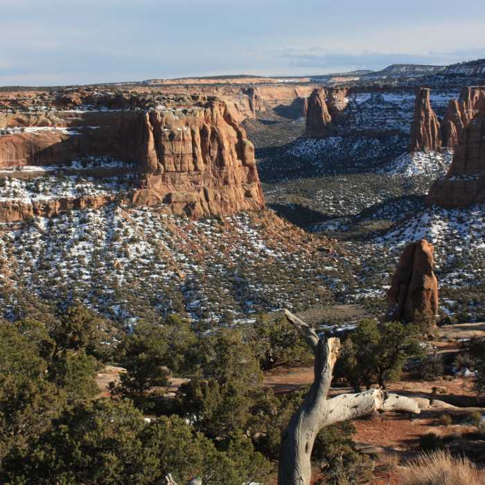 Near Window Rock Trail