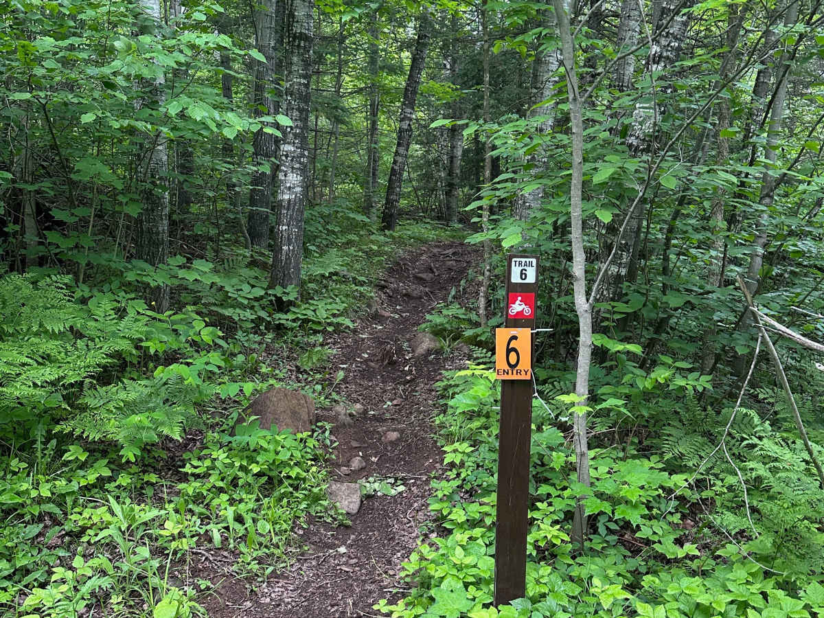 Alger Grade - Trail 6 trail photo
