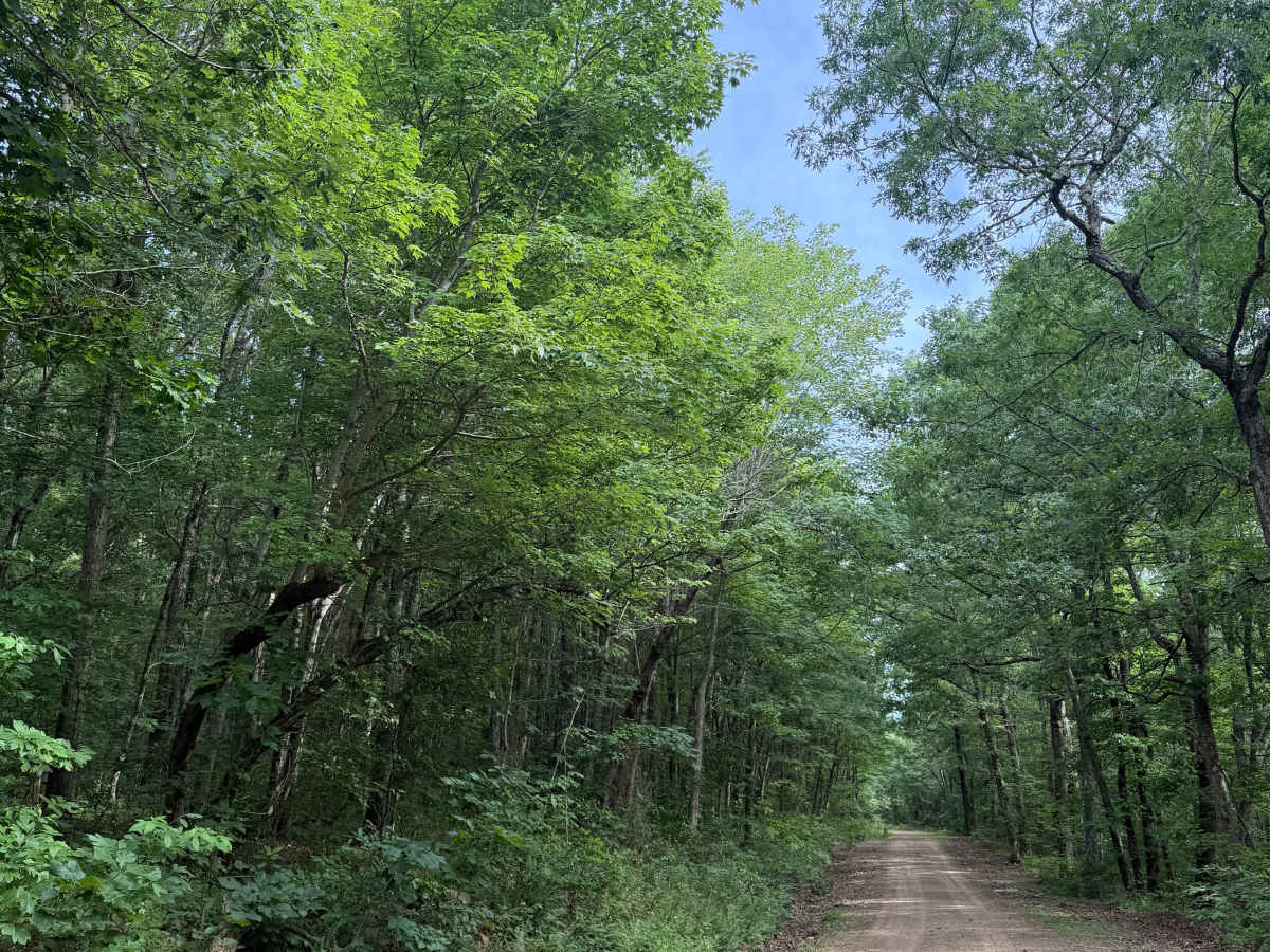 County Road 1805 photo 5