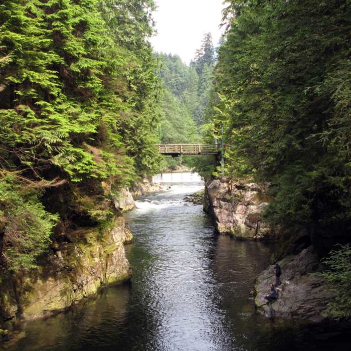 Near Coho Loop Trail