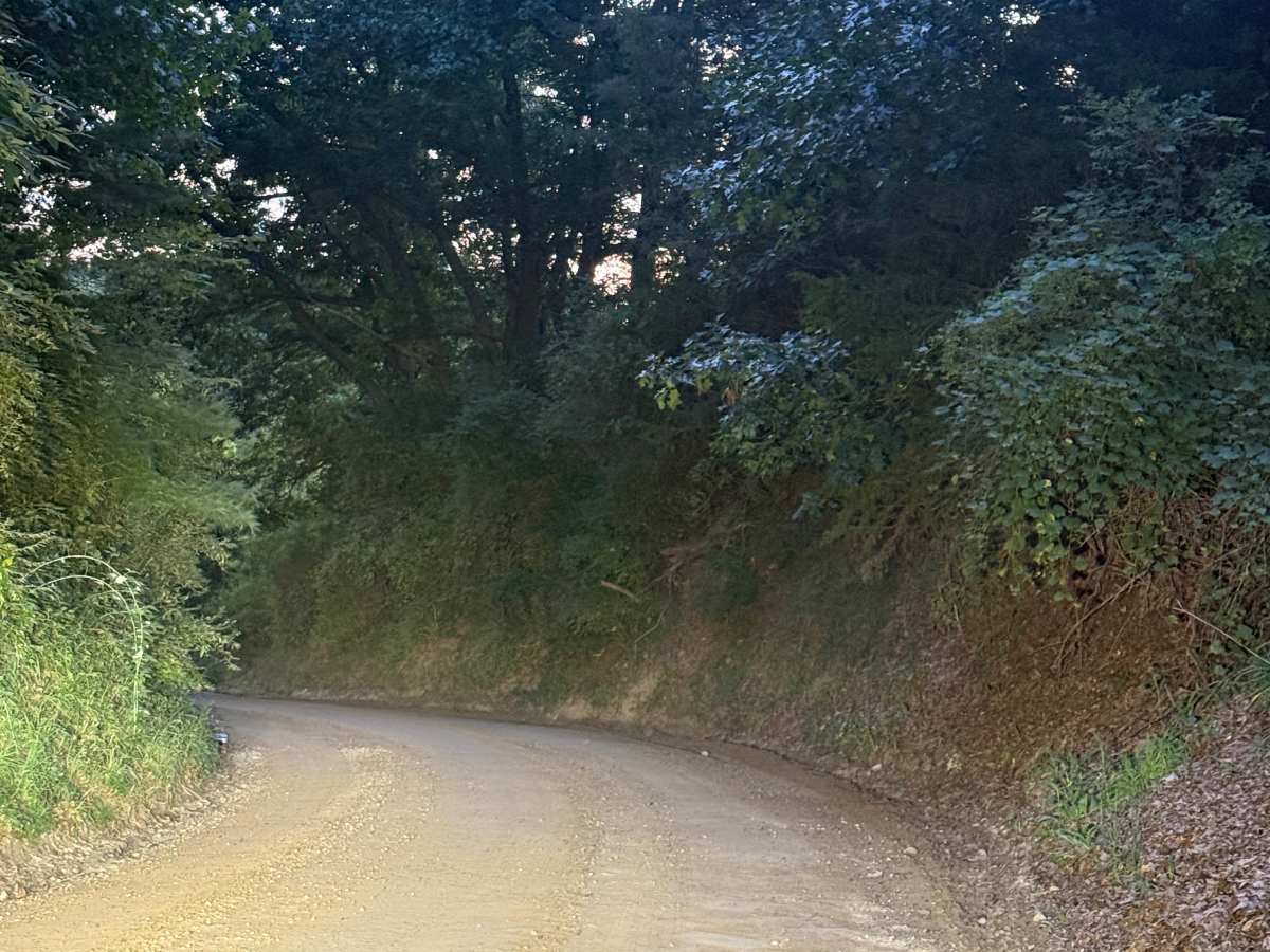 Rec Trail photo 2