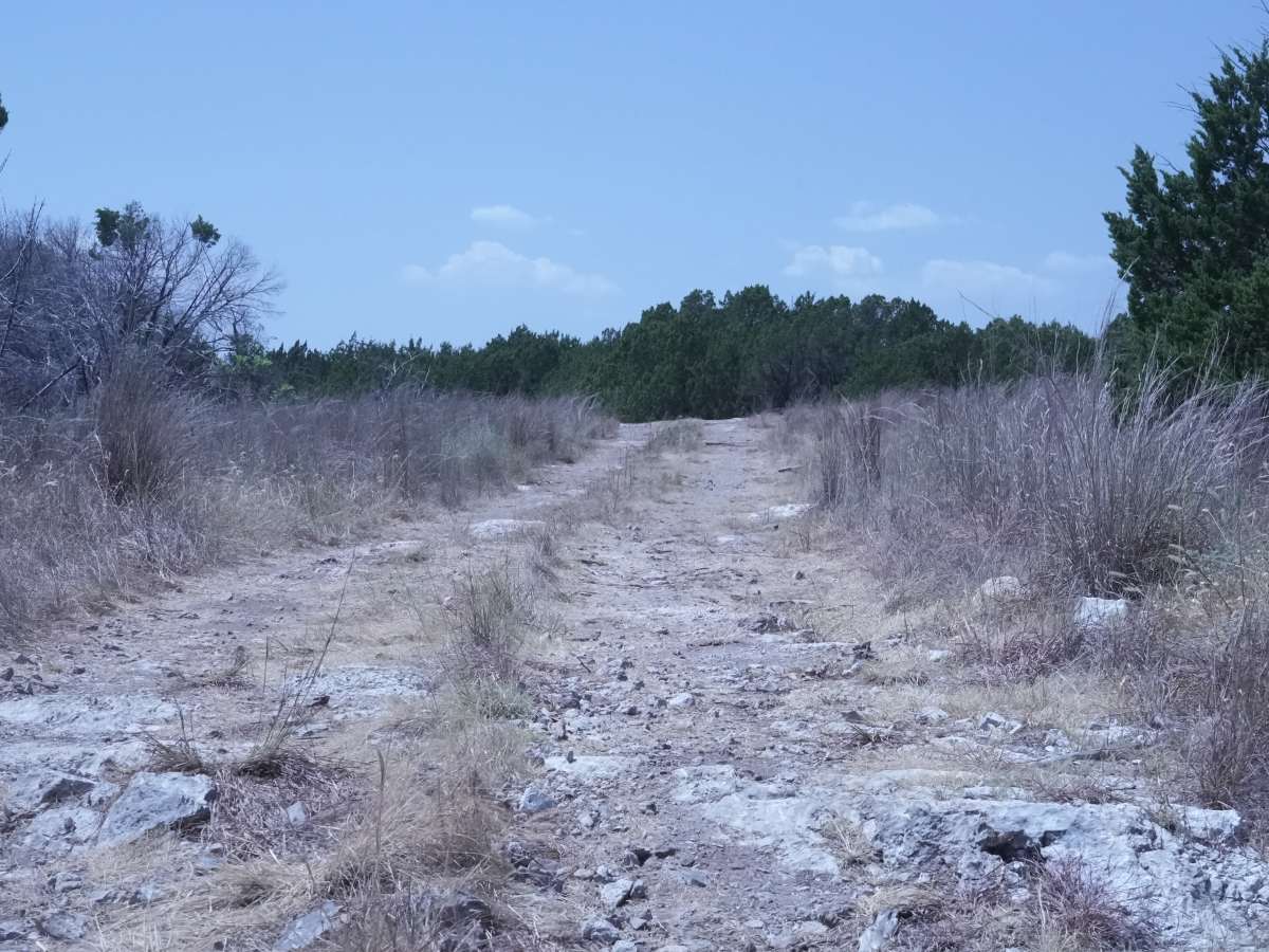 Green 5 photo 5