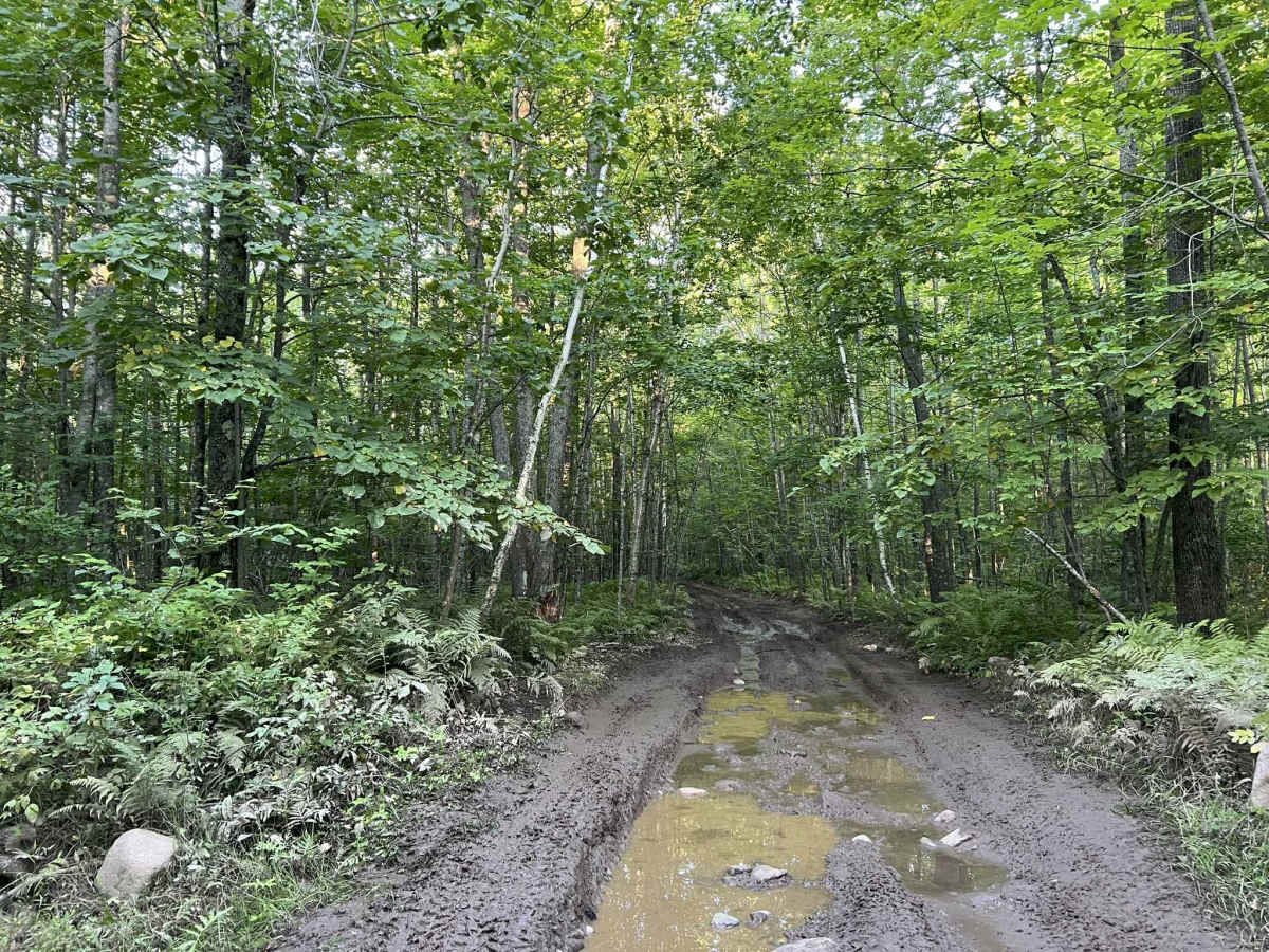 Forest County ATV/SXS 8 Mile Loop Trail 1 photo 6