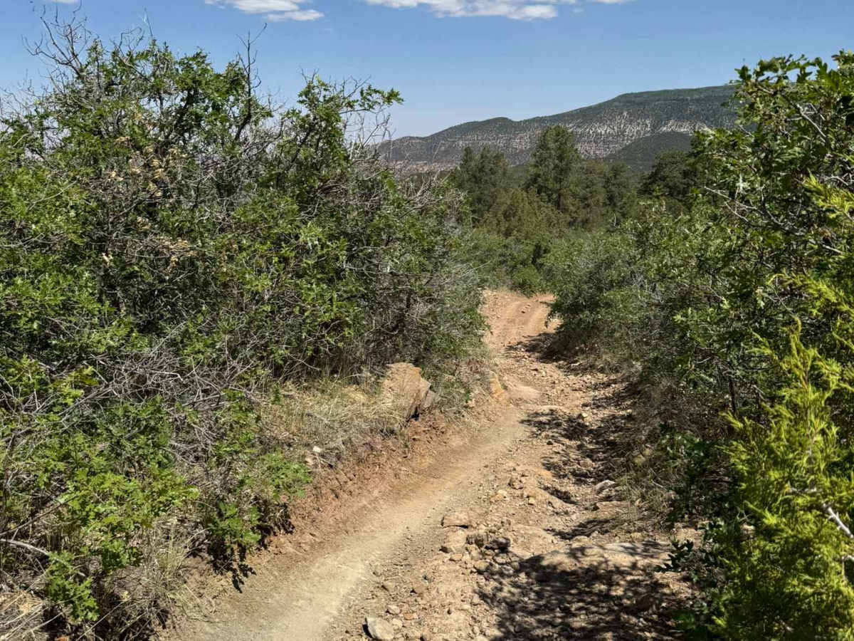 Shay Ridge OHV Trail N0. 162 photo 5
