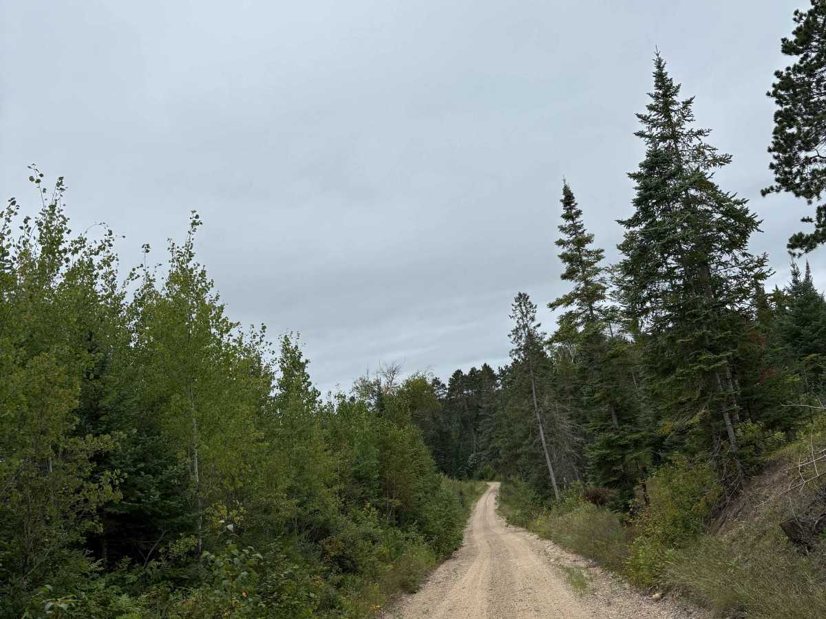 Waptus-Mckenzie Lake Road photo 3