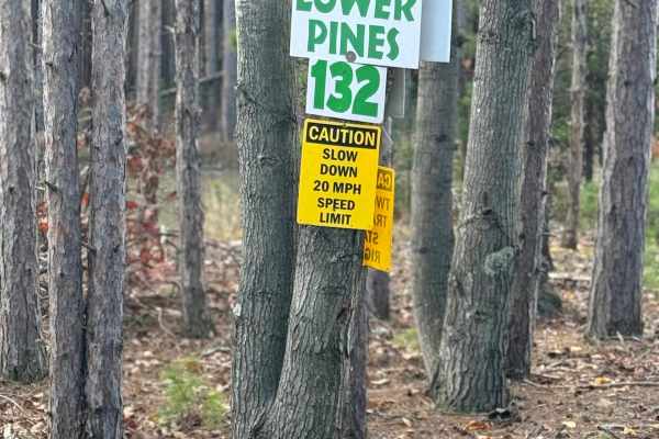 Trail 132