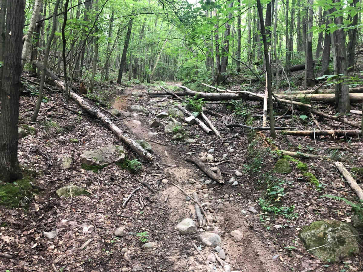 Evart Motorcycle Trail photo 4