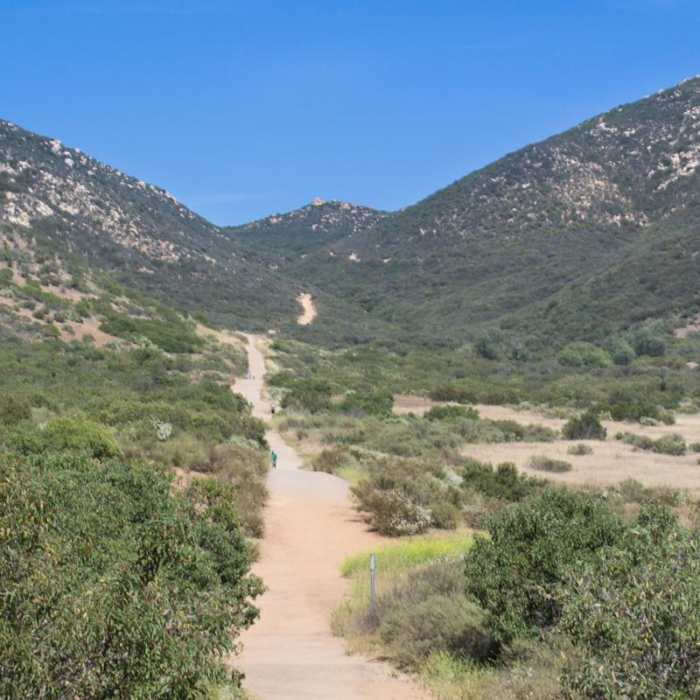 Near Iron Mountain Peak Trail #10