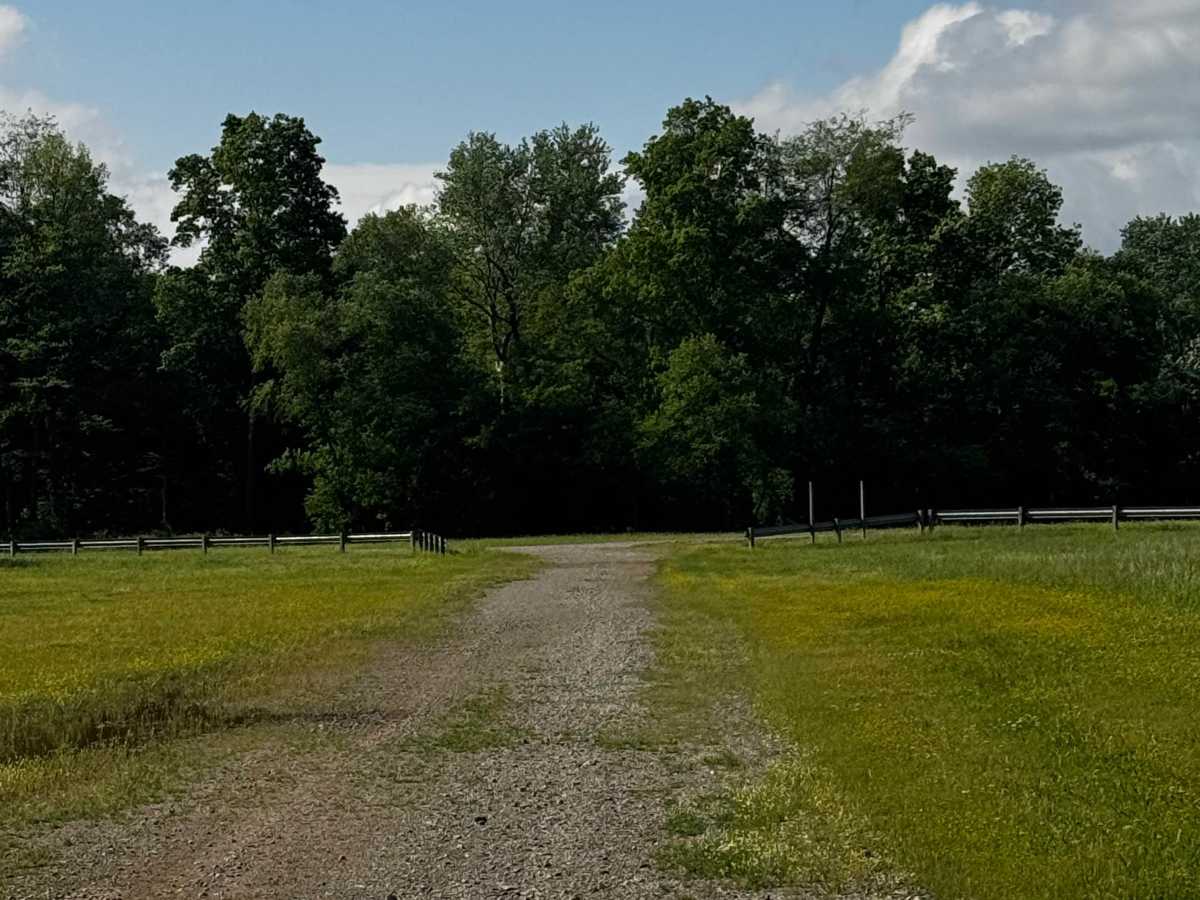 Center Field Emergency Track  photo 2