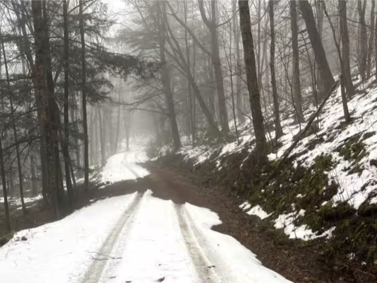 Canada Run Road photo 2