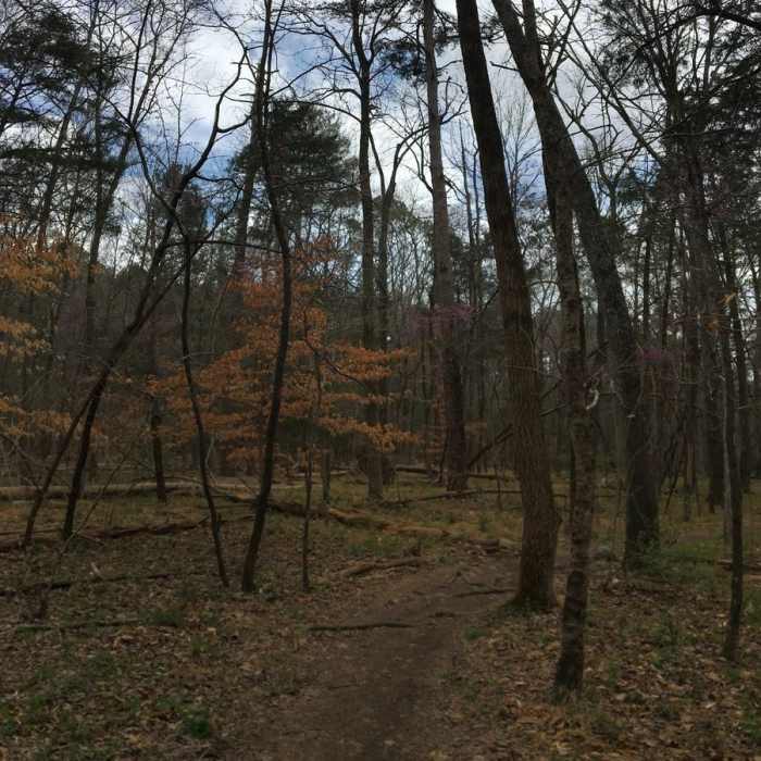 Near Occoneechee Loop