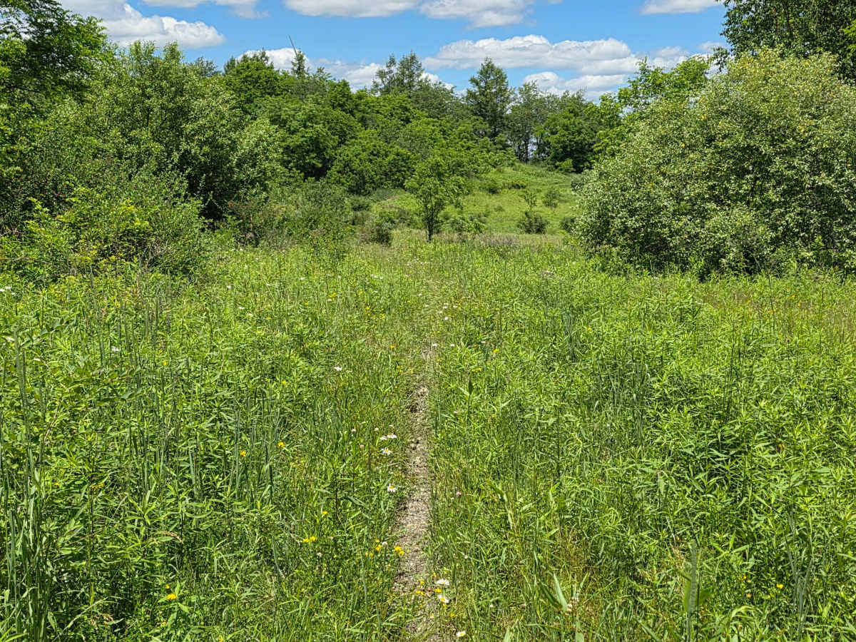 Single Track TT photo 3