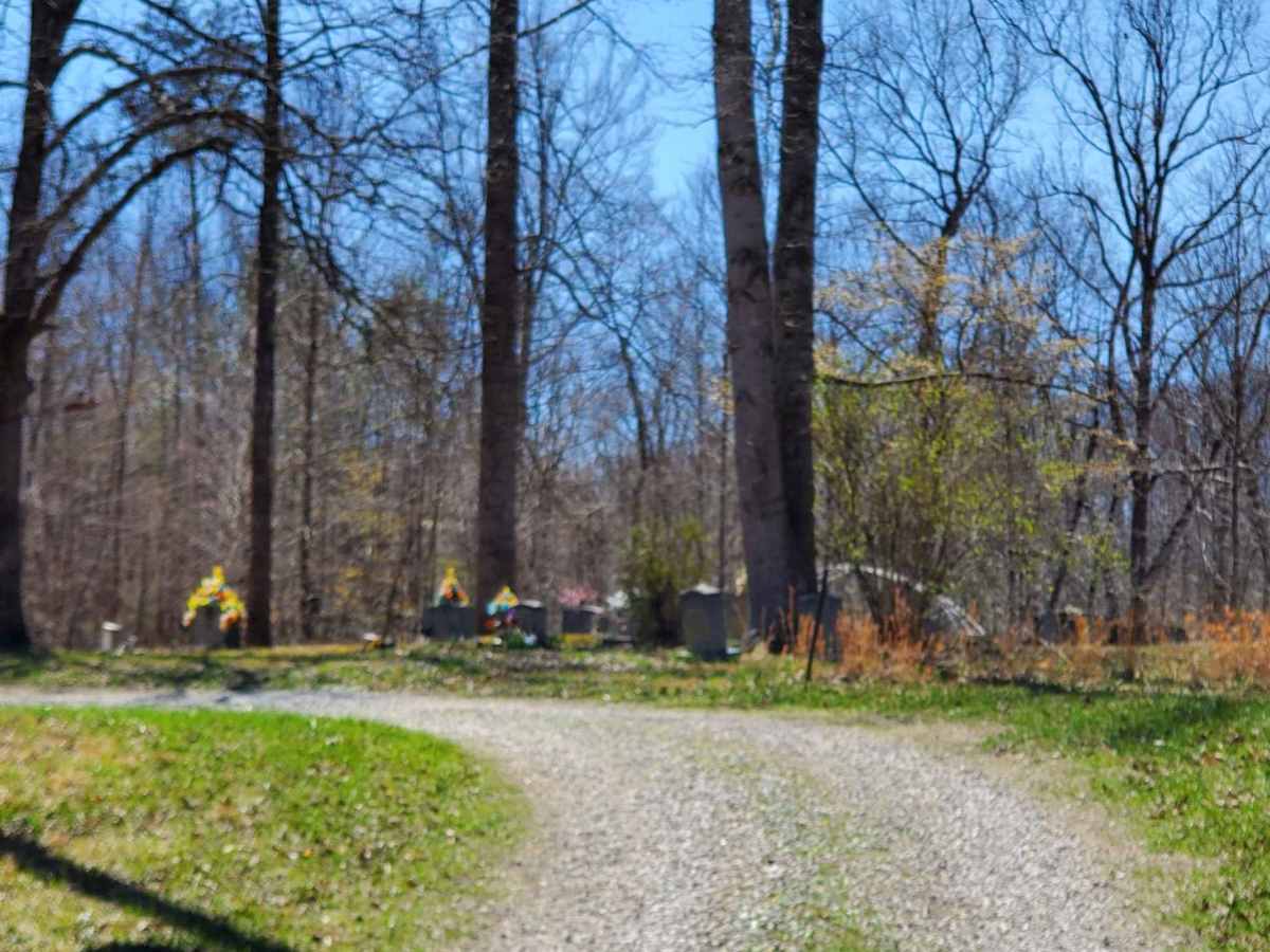 Wagoners Branch Road photo 3