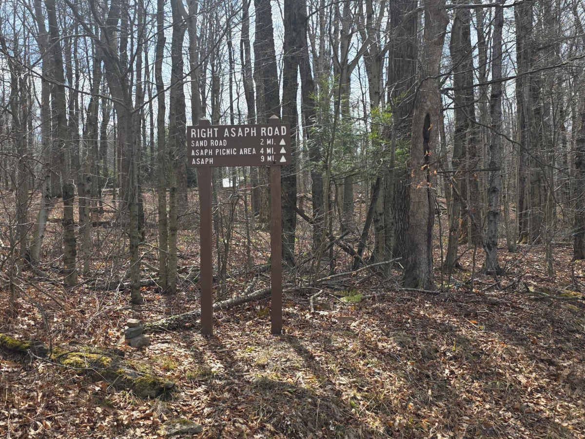 Right Asaph Road trail photo