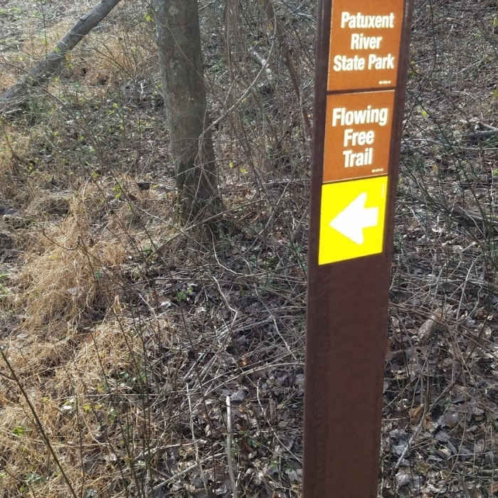 Near Free Flowing Trail