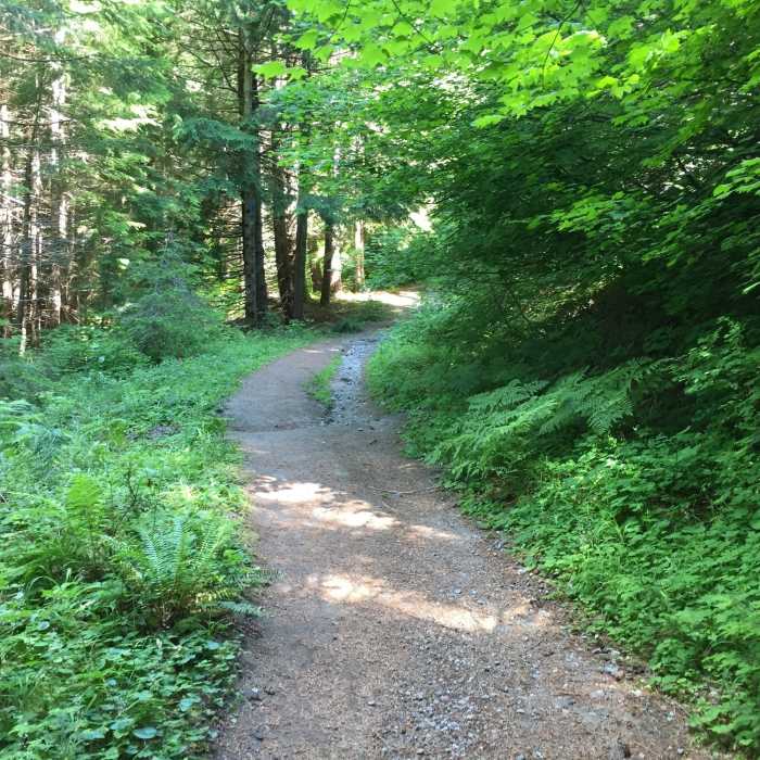 Beginning of June Lake Trail. Near June Lake