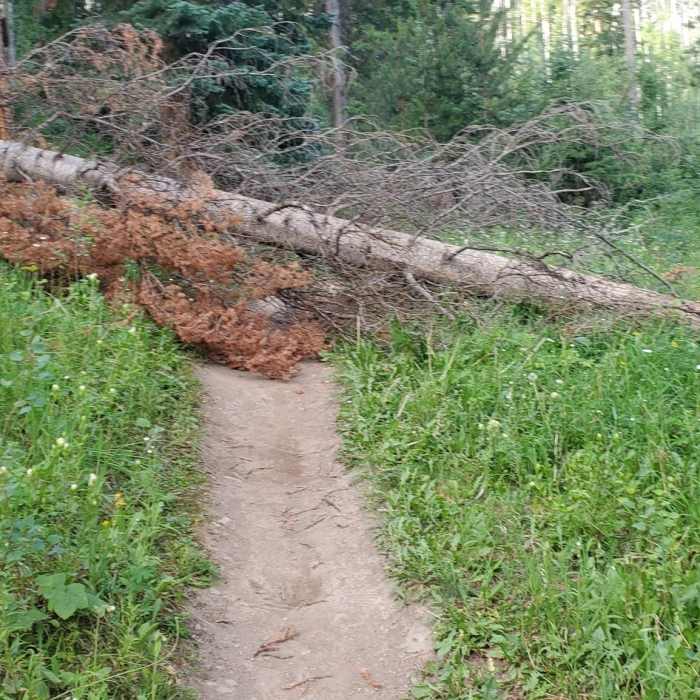 Near Beaver Creek Village Lunch Loop Hike