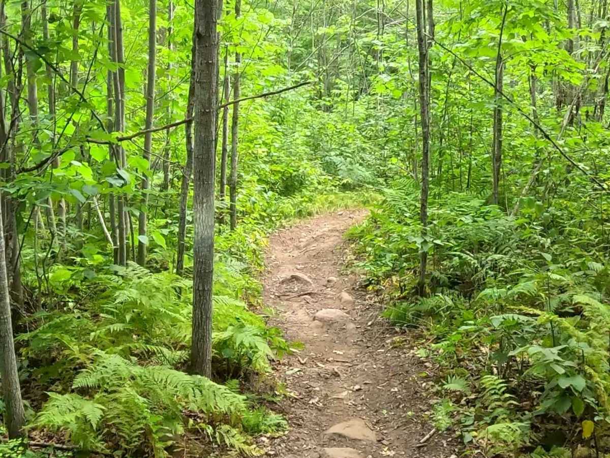 Logger's Run photo 5