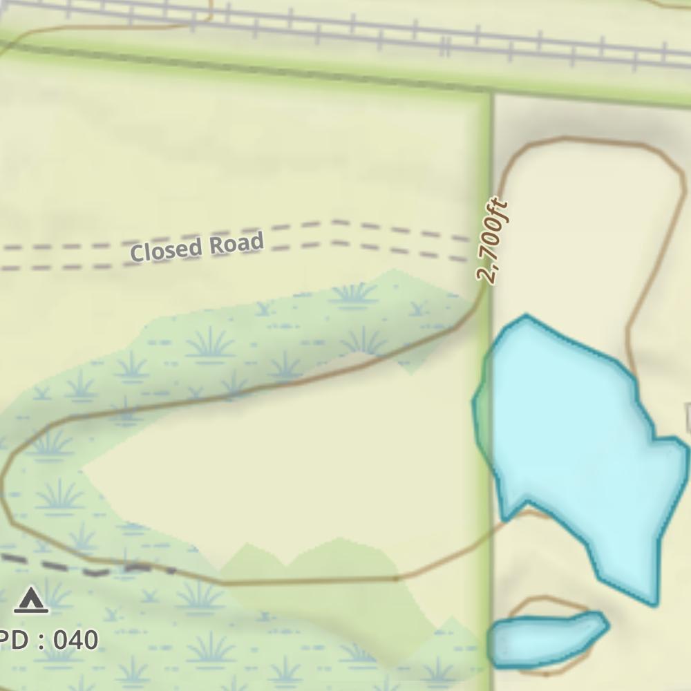 Bessey Fish Pond