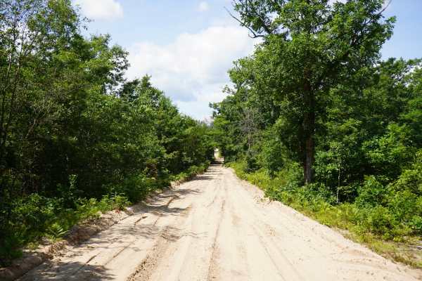 Billman Wilbur Trail