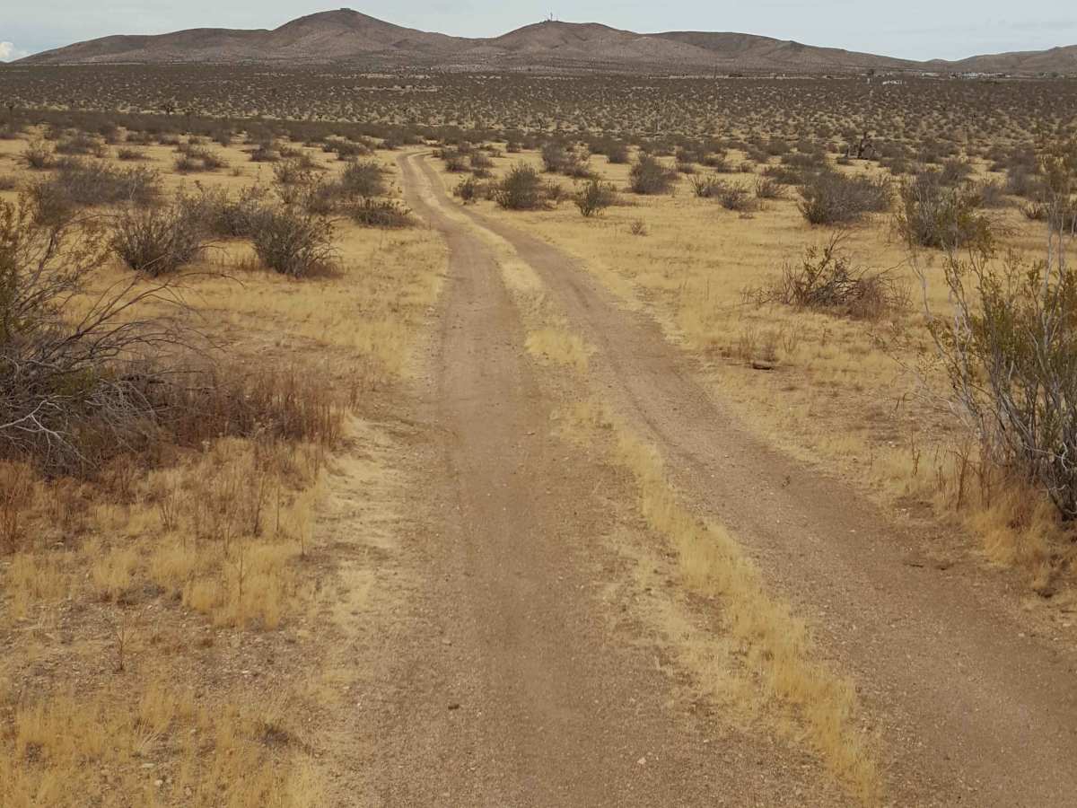 Outback Trail photo 5