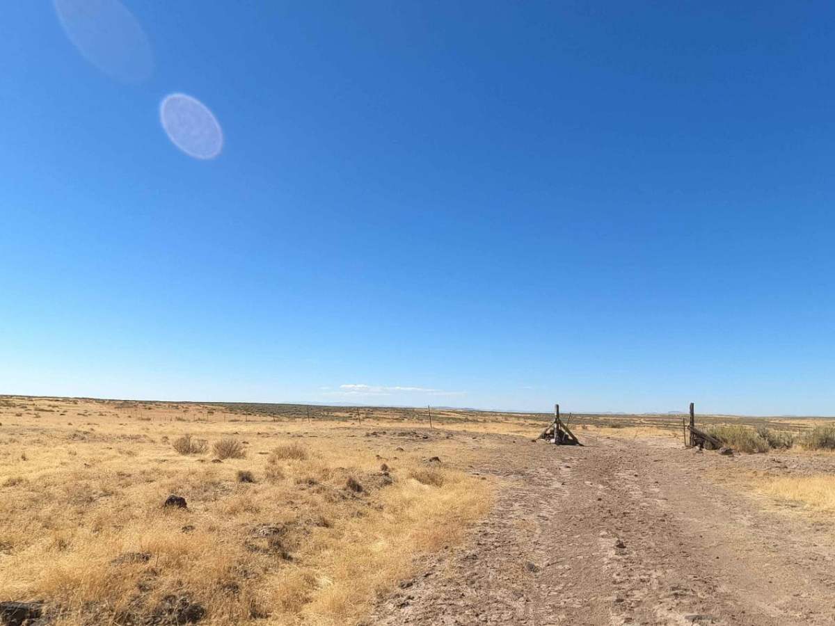 Iron Point Road photo 4