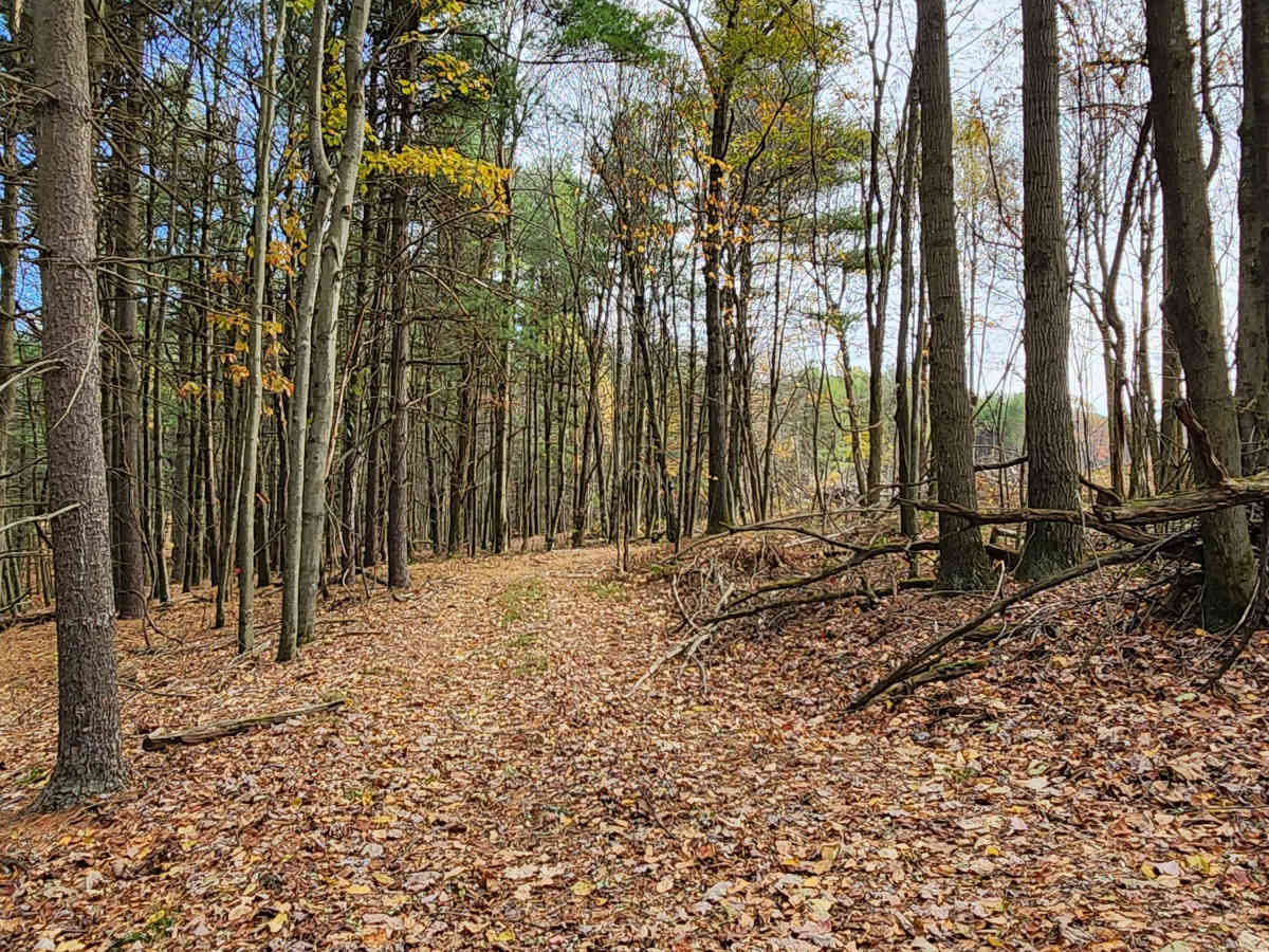 OHV 5 - Rock Run Recreation Area trail photo