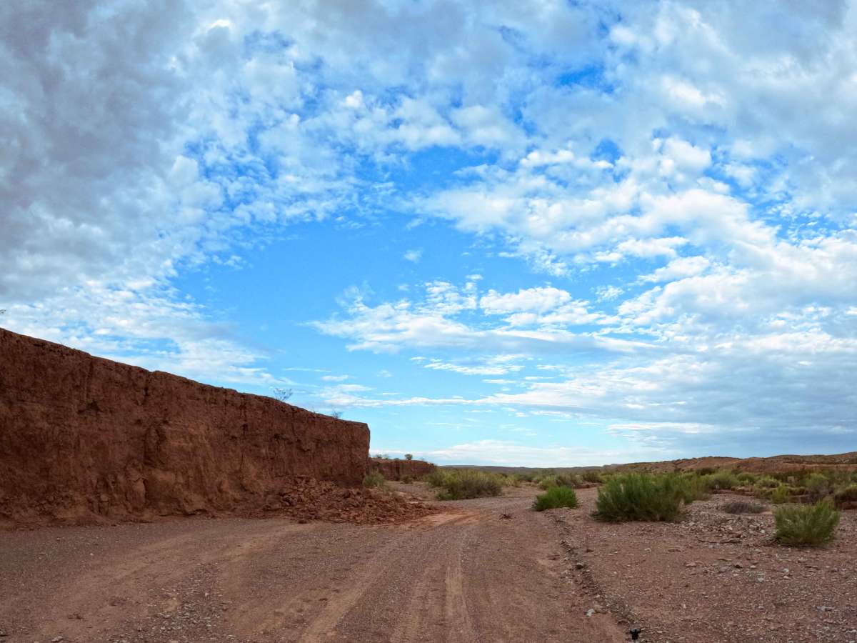 Arroyo de los Pinos trail photo