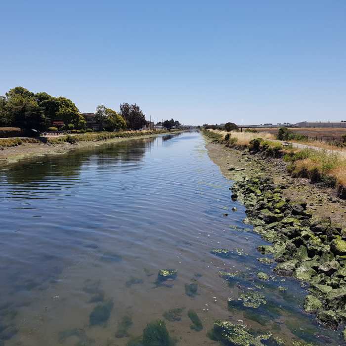 Near Martin Luther King Jr. Regional Shoreline