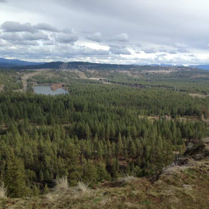 Near Carlson Road Loop