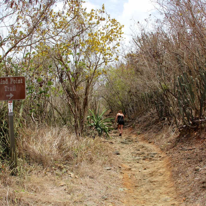 Near Lind Point Loop