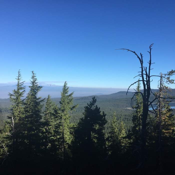 Near Crater Rim Trail #3957