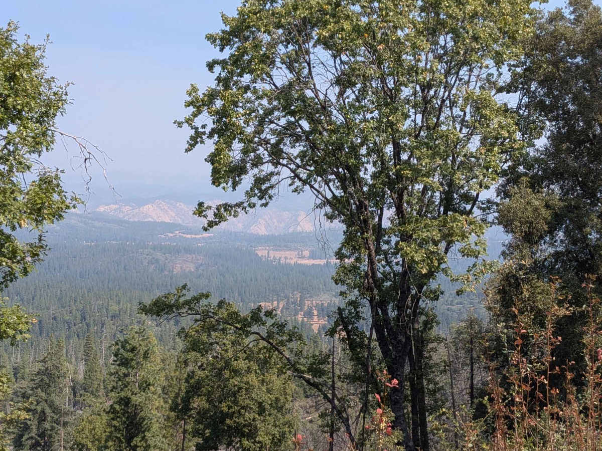 Wagner Ridge Road - FS 2S08 photo 6