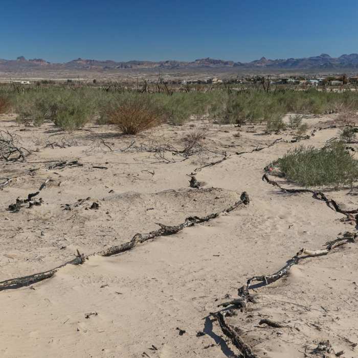 Near Big Sandy Trail