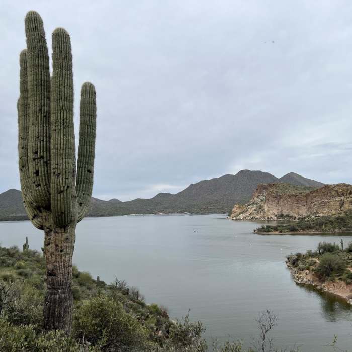 Near Butcher Jones Trail