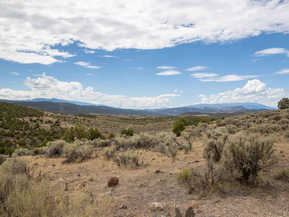 Black Mountain Road photo 2
