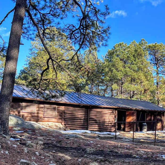 Near Tanque Verde to Mica Mountain