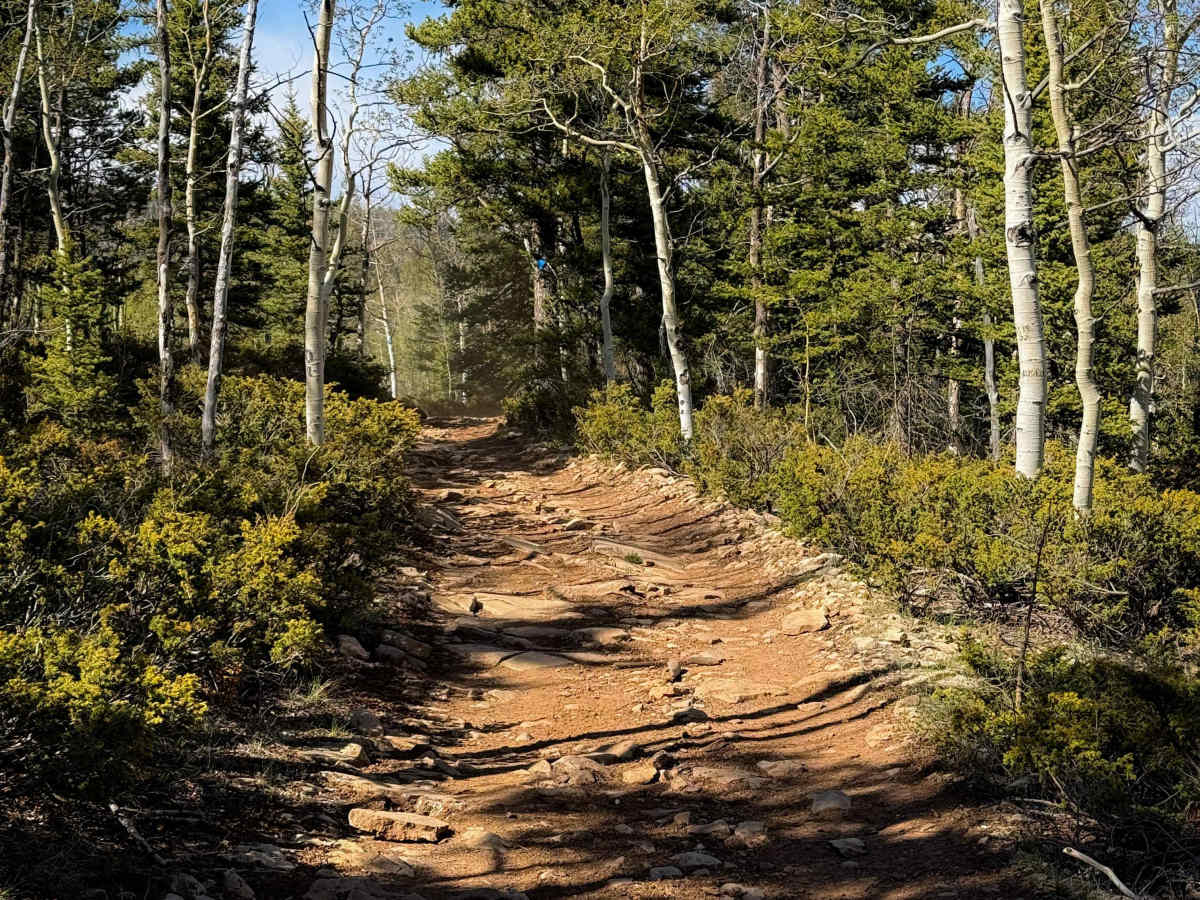 Little Brush Creek #153  photo 6