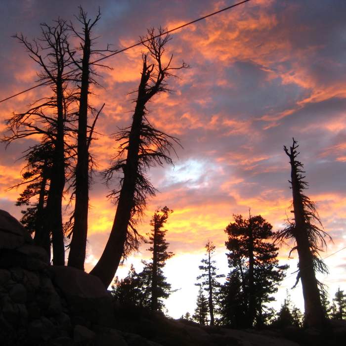 Near Glacier Lake Trail