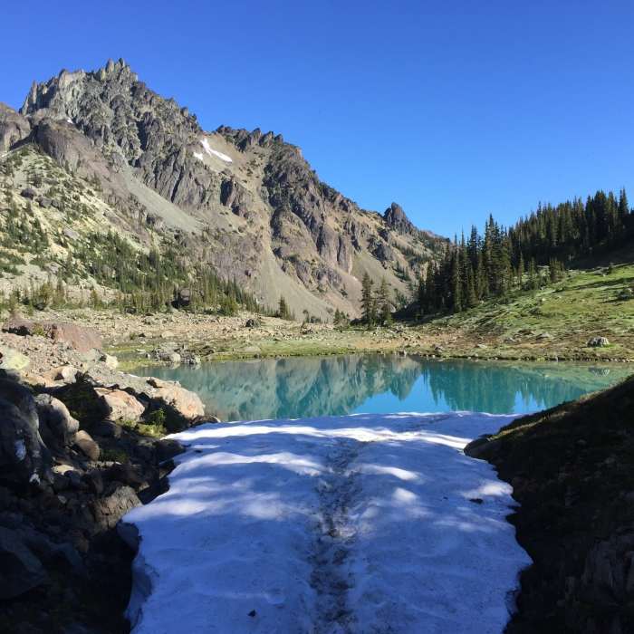 Near Royal Basin Trail