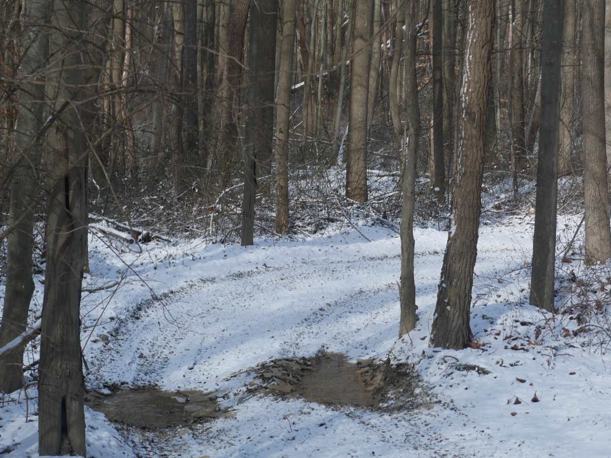 Trail 17 Lower photo 3