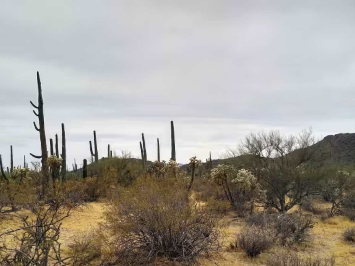 Robinson Loop photo 6