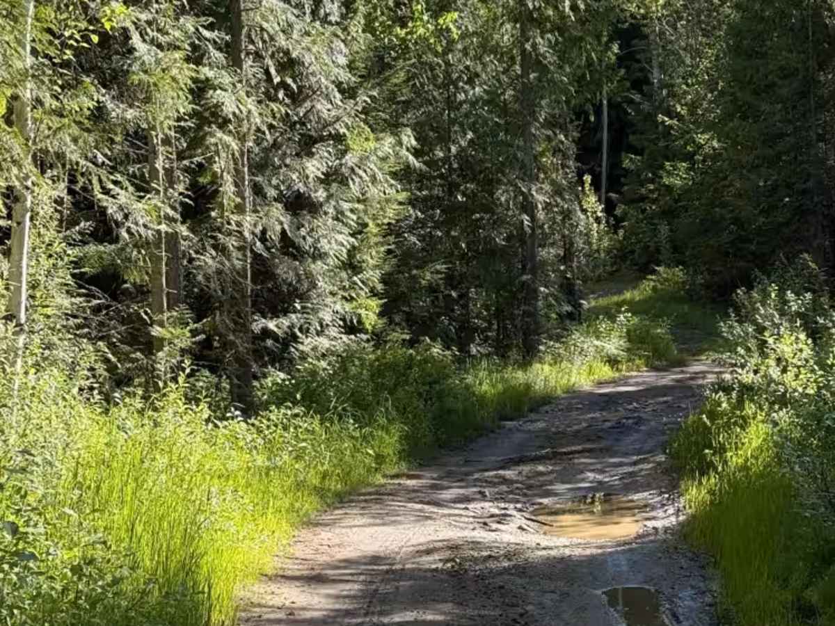 Hidden-Baird Road photo 3