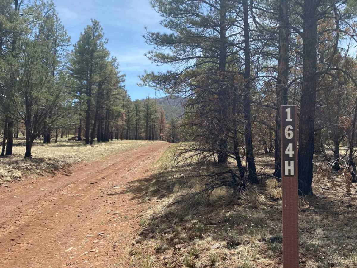 Slate Mountain Loop photo 3