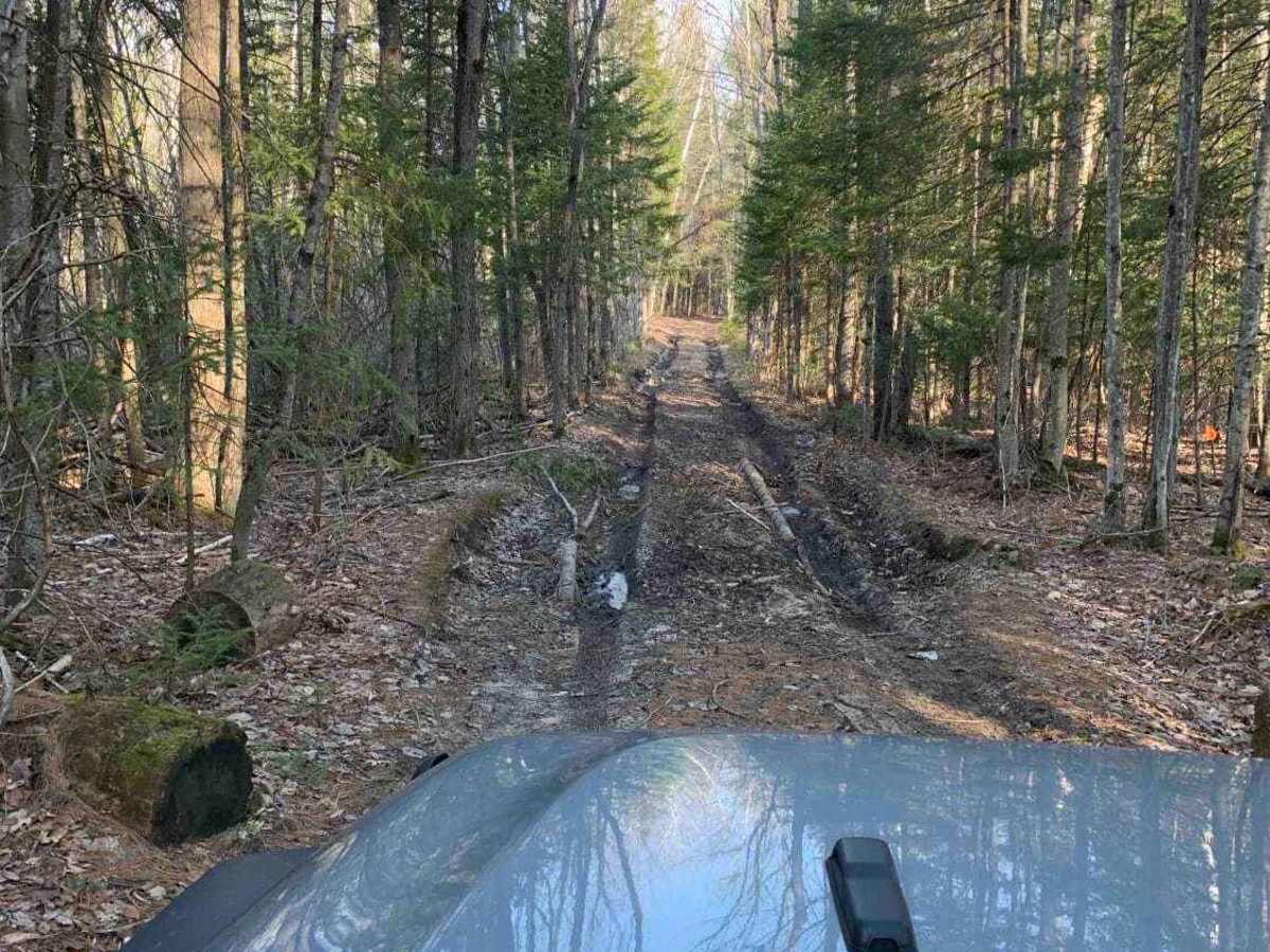 Pigeon River Roaming trail photo