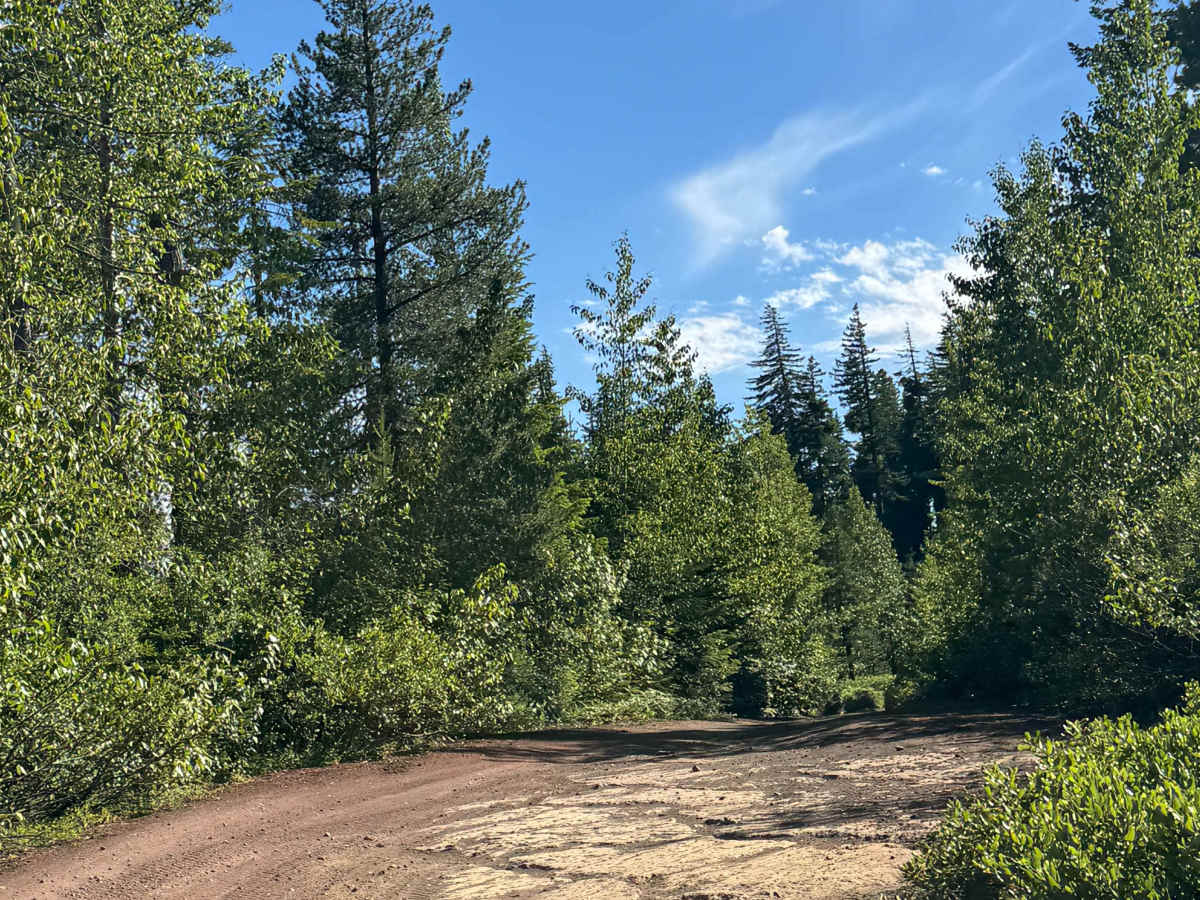 Torso Lake - FS 2076 photo 5