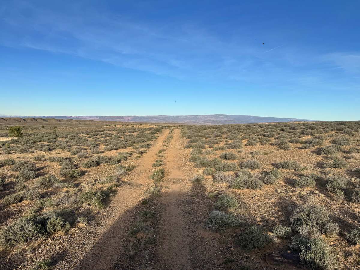 Cactus Rat Hills photo 5