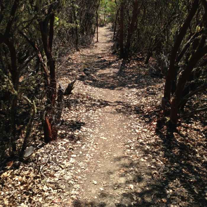 Near The Grotto Trail
