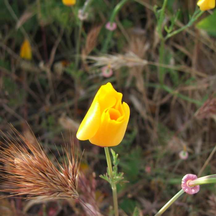 Near Nicholas Pond Loop
