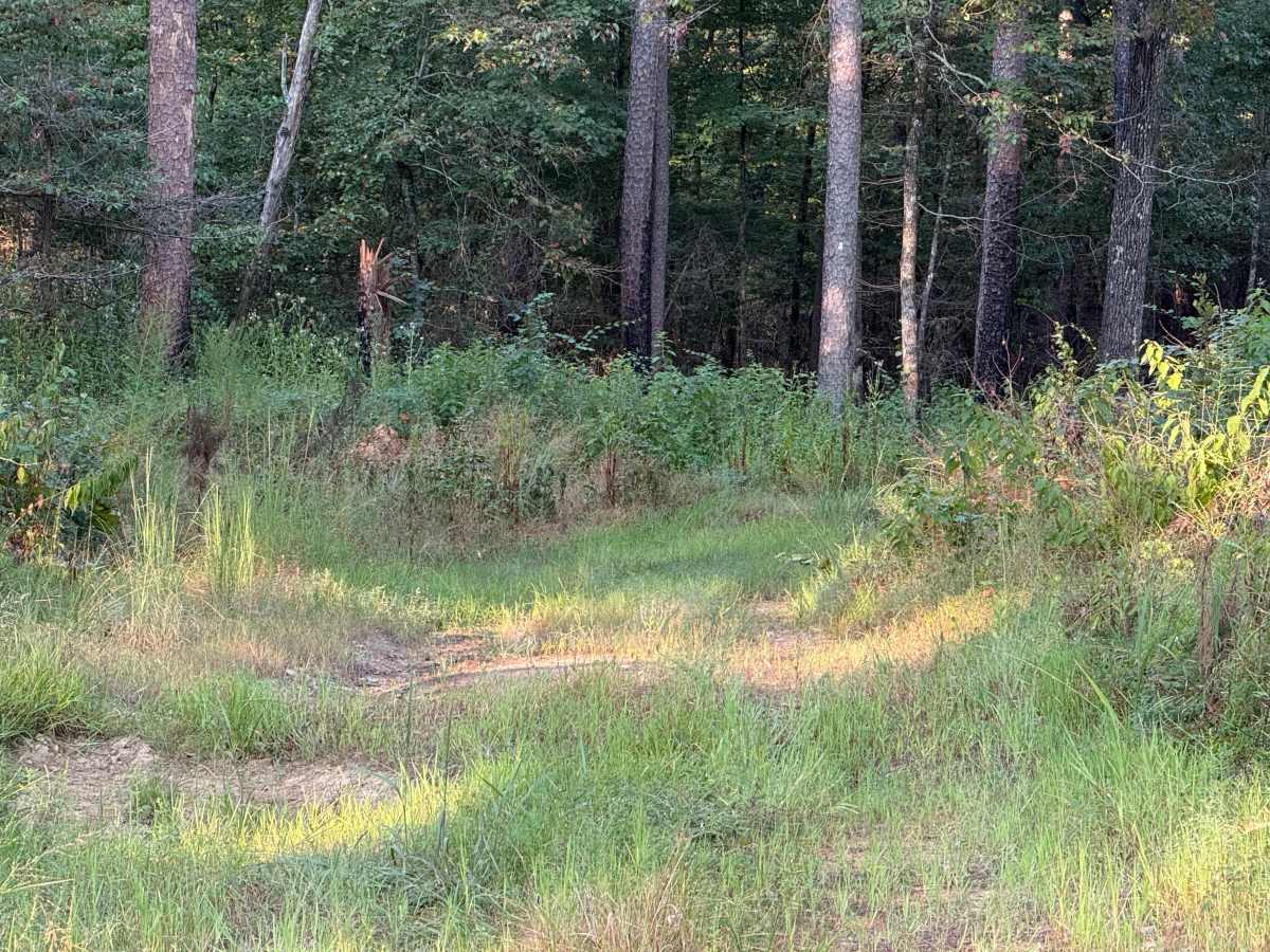 Flat Ridge Spur photo 5